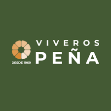 VIVEROS Y DECORACION VIVEROS Y DECORACION